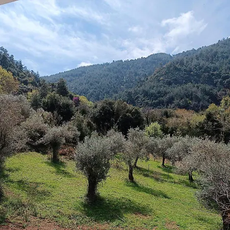 Βίλα Evergreen Thassos Σκάλα Ποταμιάς