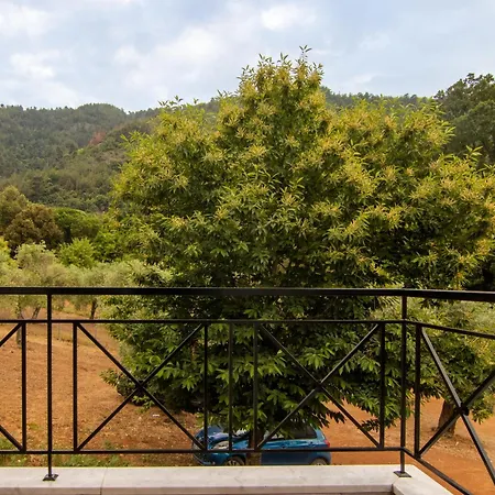 ヴィラ Evergreen Thassos