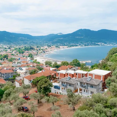 Evergreen Thassos *