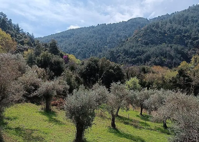 빌라 Evergreen Thassos 스칼라 포타미아스